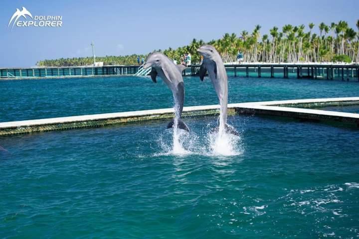 Caribbean And Sun Punta Cana Exterior foto